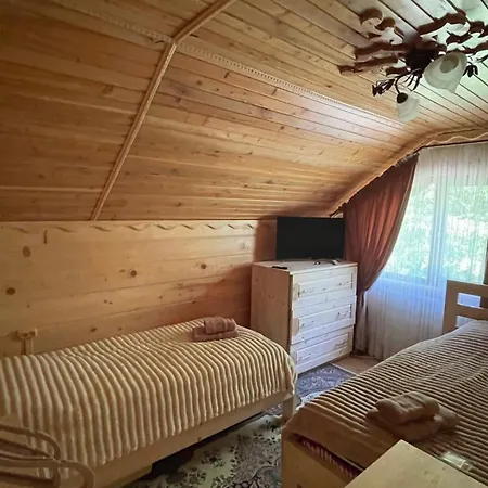 Elizabeth Mykulychyn